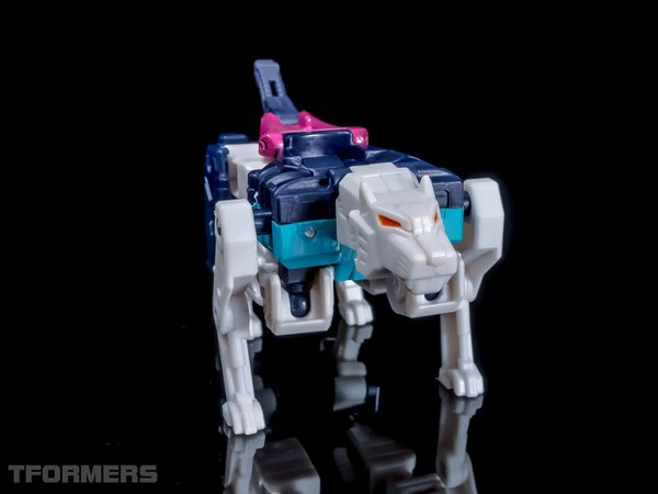 TFormers Titans Return Gallery   Siege On Cybertron Pounce 16 (16 of 92)